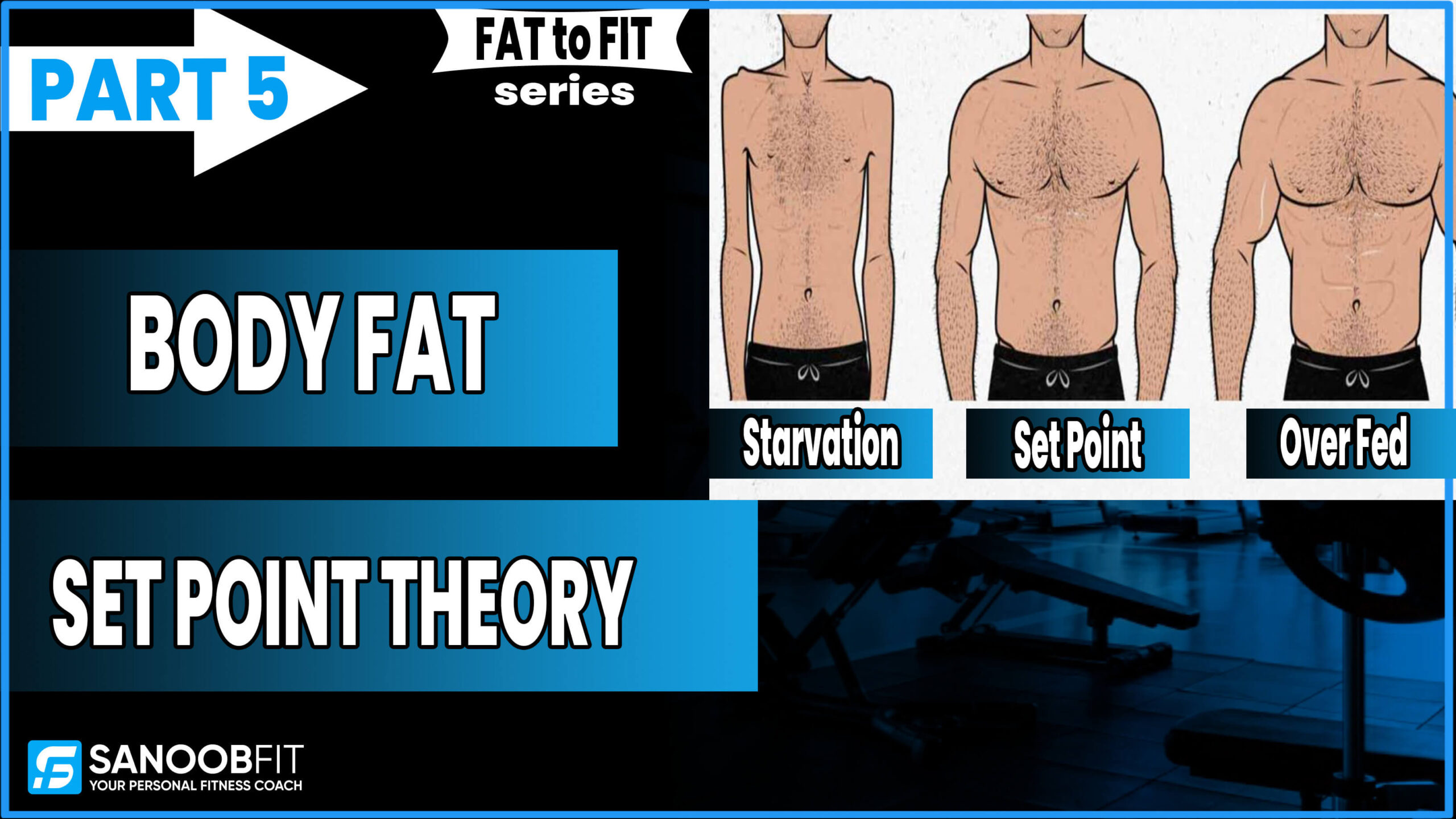 Body Fat Set Point Theory :FAT to FIT series Part 5